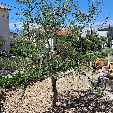 公寓 The Fig And Olive 卓得诺沃