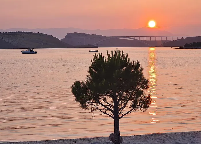 The Fig And Olive Apartment