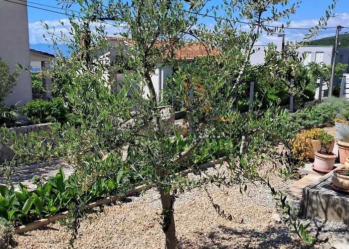 Apartamento The Fig And Olive Jadranovo